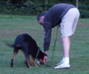 Dog Training Aids: An integral part of dog training